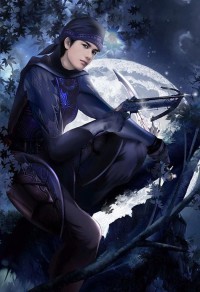 雪山神锋传
